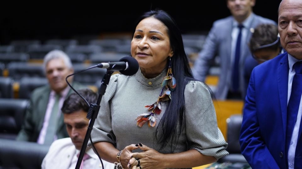 deputada silvia waiapi propoe detectores de metais em escolas publicas e privadas