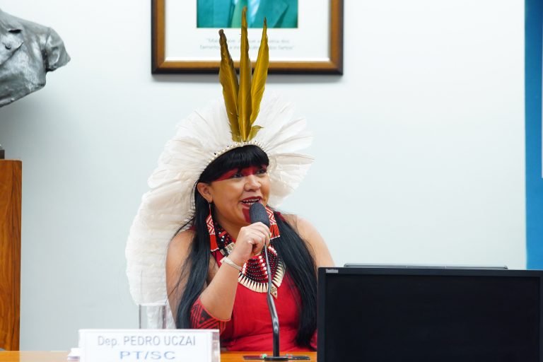 mulheres assumem a presidencia de cinco comissoes permanentes