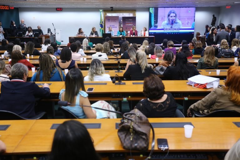 participantes de seminario defendem mudancas na legislacao para aumentar presenca de mulheres na politica