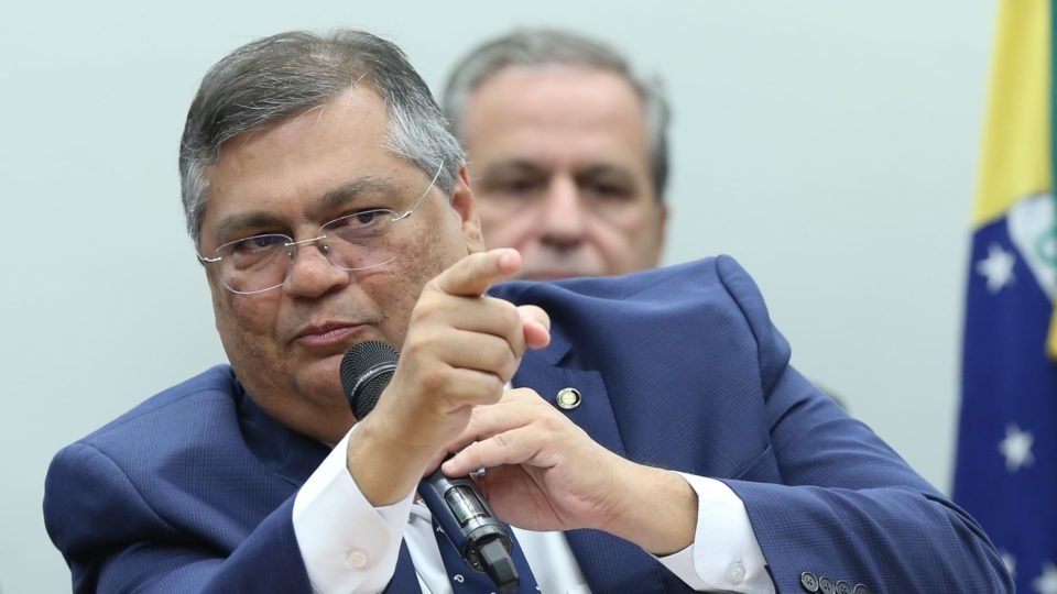 dino afirma que donos de armas nao recadastradas sao alvos potenciais da policia federal