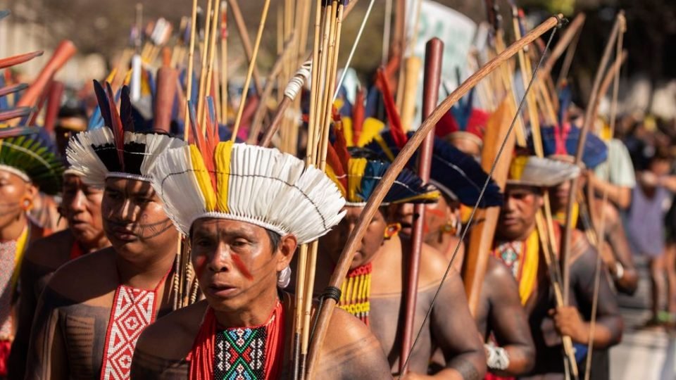 inflacao indigena no censo tem dedo de ongs contrarias a marco temporal
