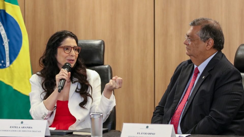 secretaria de dino e nomeada para discutir governanca global da inteligencia artificial na onu