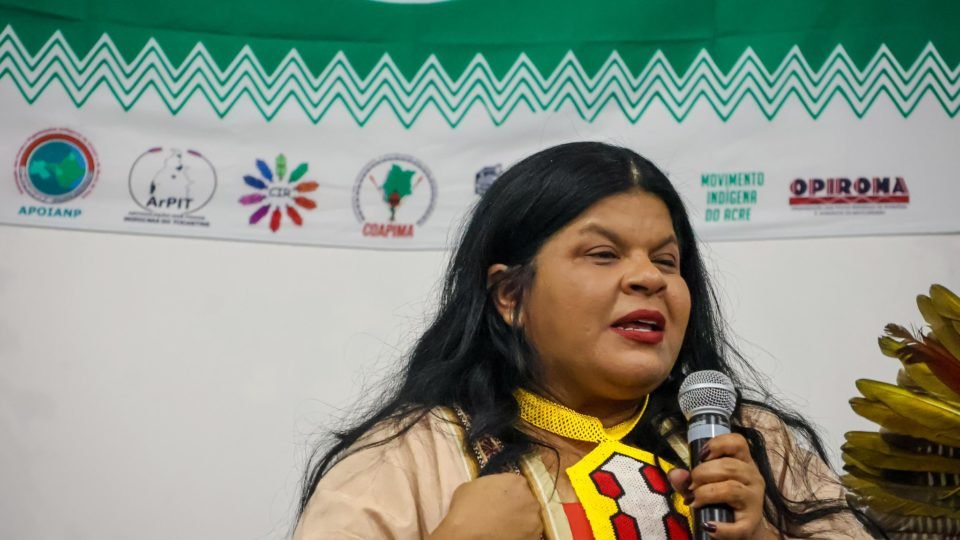 ministra dos povos indigenas sonia guajajara e internada em sao paulo