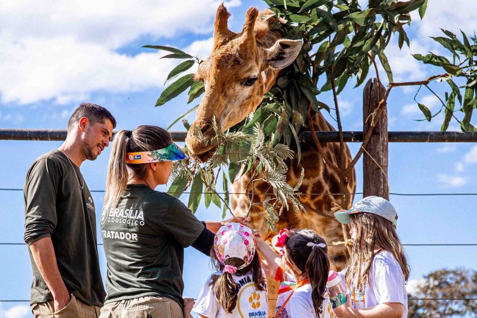 Zoo 30 3 scaled e1708372616824.jpg