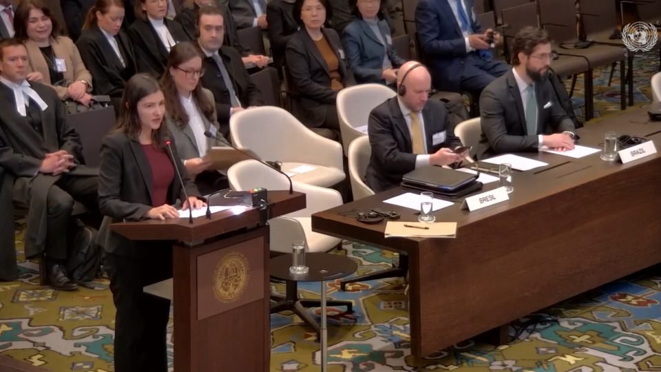 Em Haia, Brasil repete acusações contra Israel e pede fim de “ocupação ilegal” na Palestina