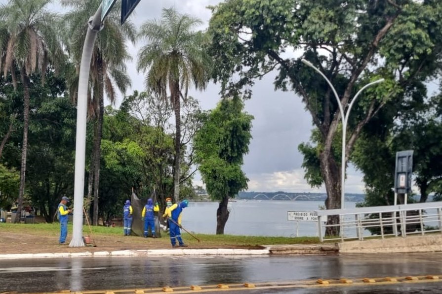 Limpeza e benfeitorias na Ponte Honestino Guimaraes 11.jpg