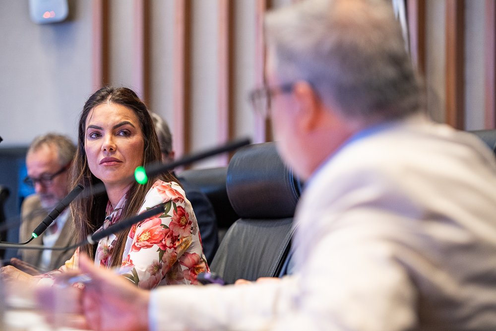 a0090e5d 89b6 29ea 8924 9f4c5ecf7678.jpeg