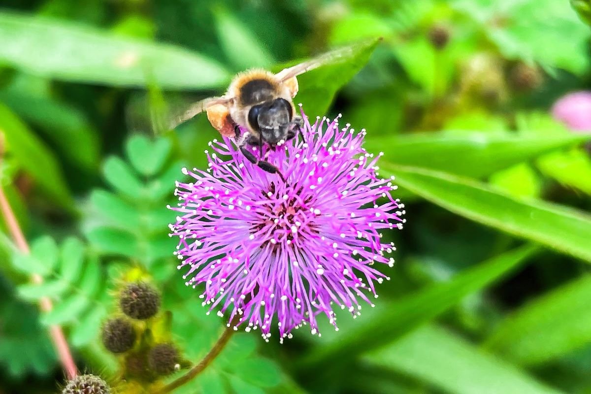 d8b0e032 b64f de17 2204 5b1b093120a6.jpeg