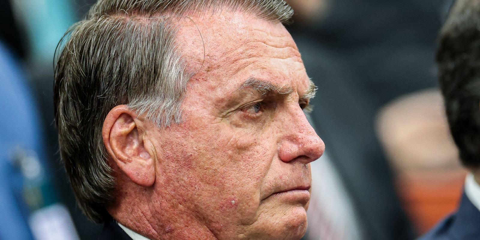 54409368261 d47aa40a95 o.jpg