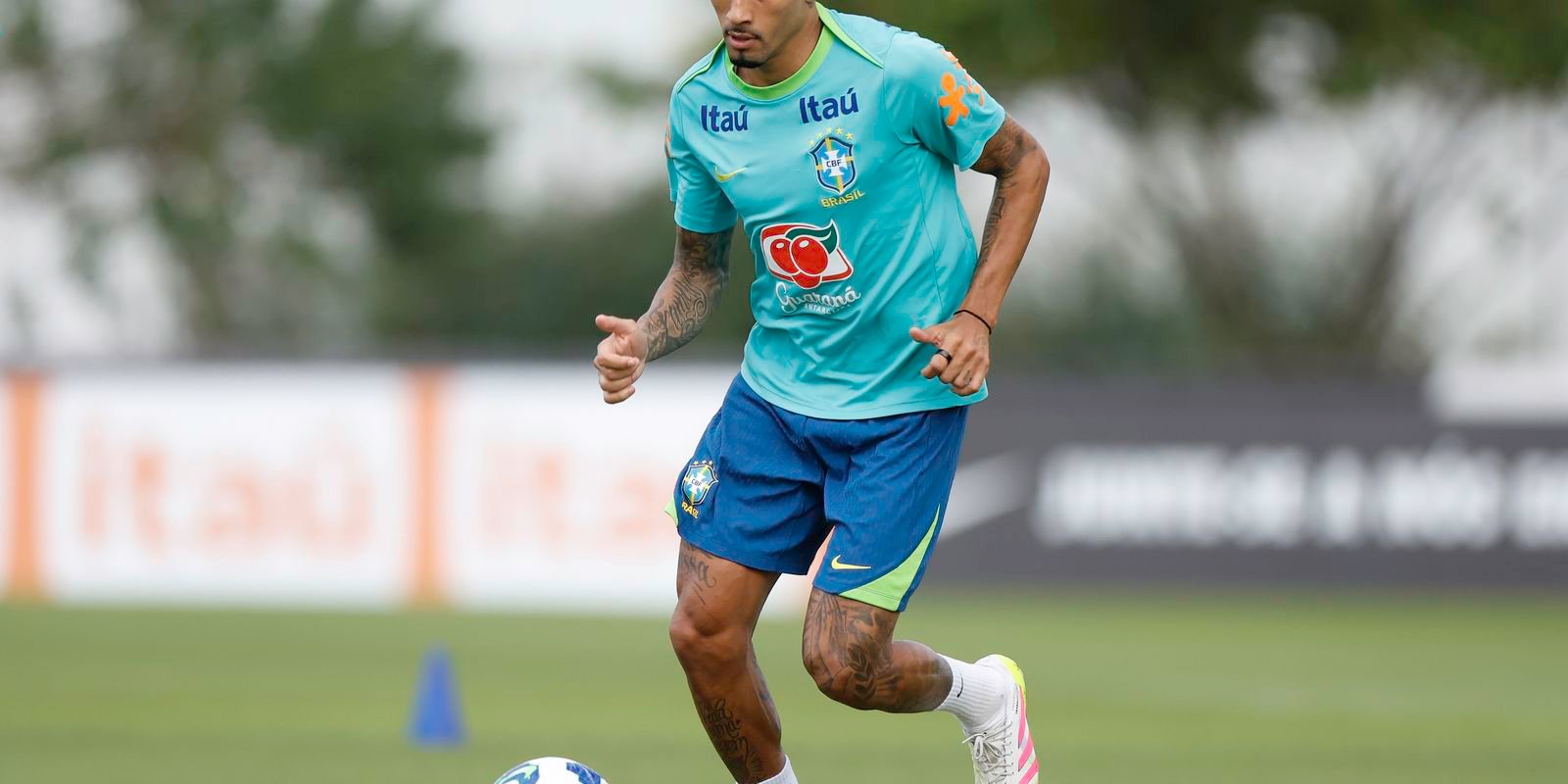 54573992440 d33d52d053 o.jpg