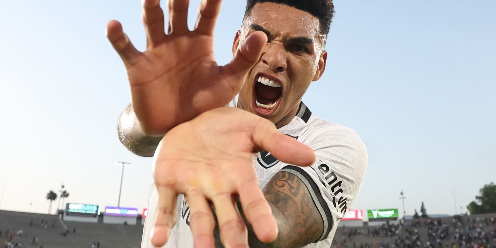 54602022925 b7ce752c5b o.jpg