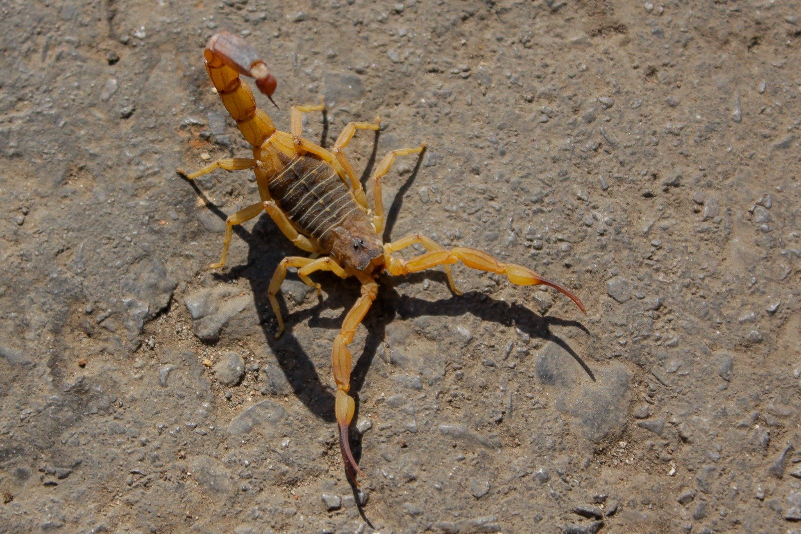 WhatsApp Image 2025 06 06 at 17.56.35