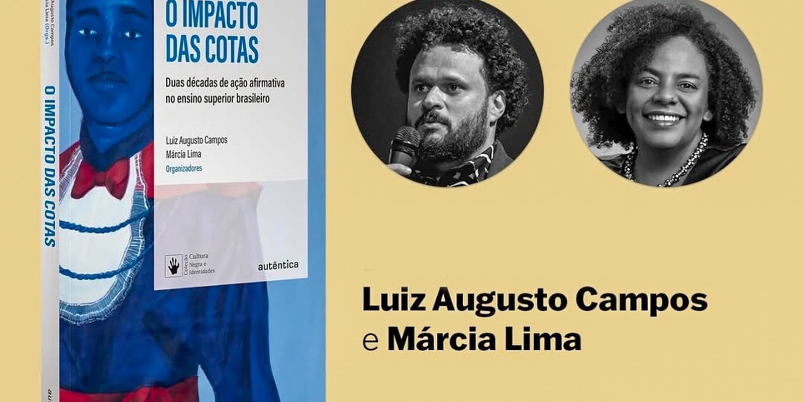 livro impacto das cotas.jpg