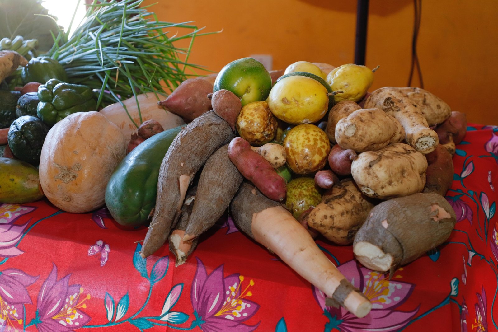 Seapa divulga resultado preliminar do PAA Quilombola 2025