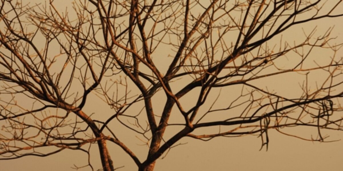 Goiás em alerta extremo para incêndios