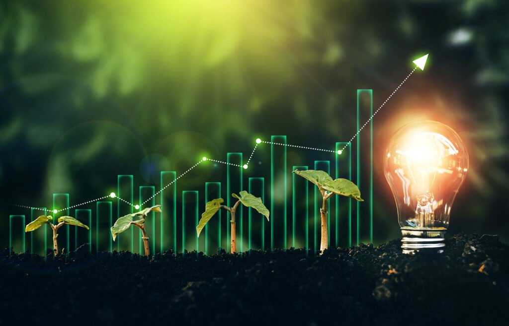 Governo lança apoio de 15 milhões de euros à eficiência energética no setor agrícola