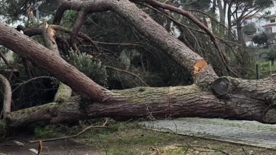 Pombal auxilia candidaturas aos apoios à habitação própria e permanente
