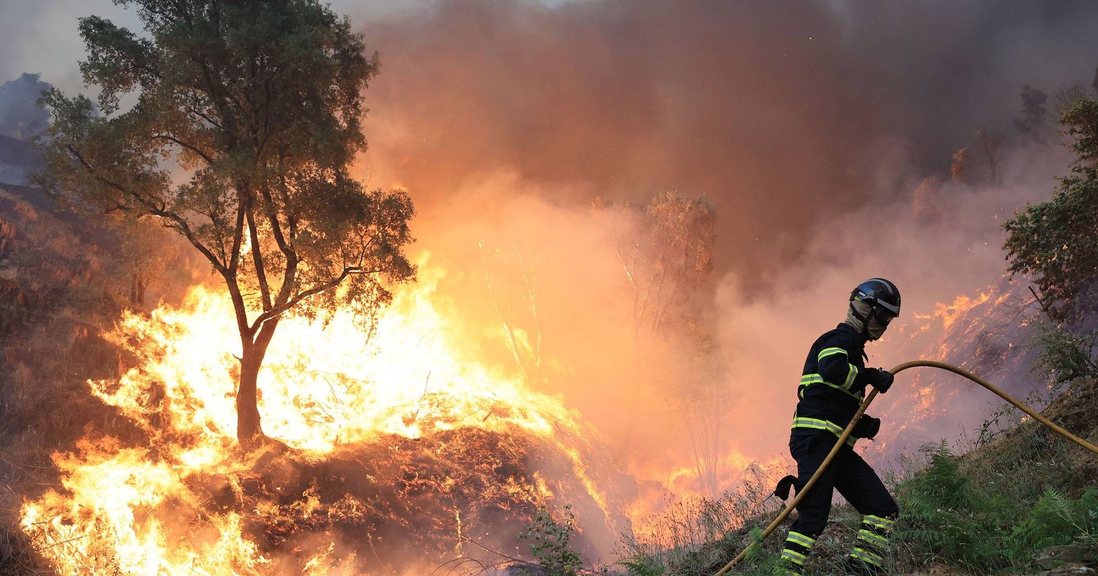 Incêndios rurais aumentam mais de 30% em 2025