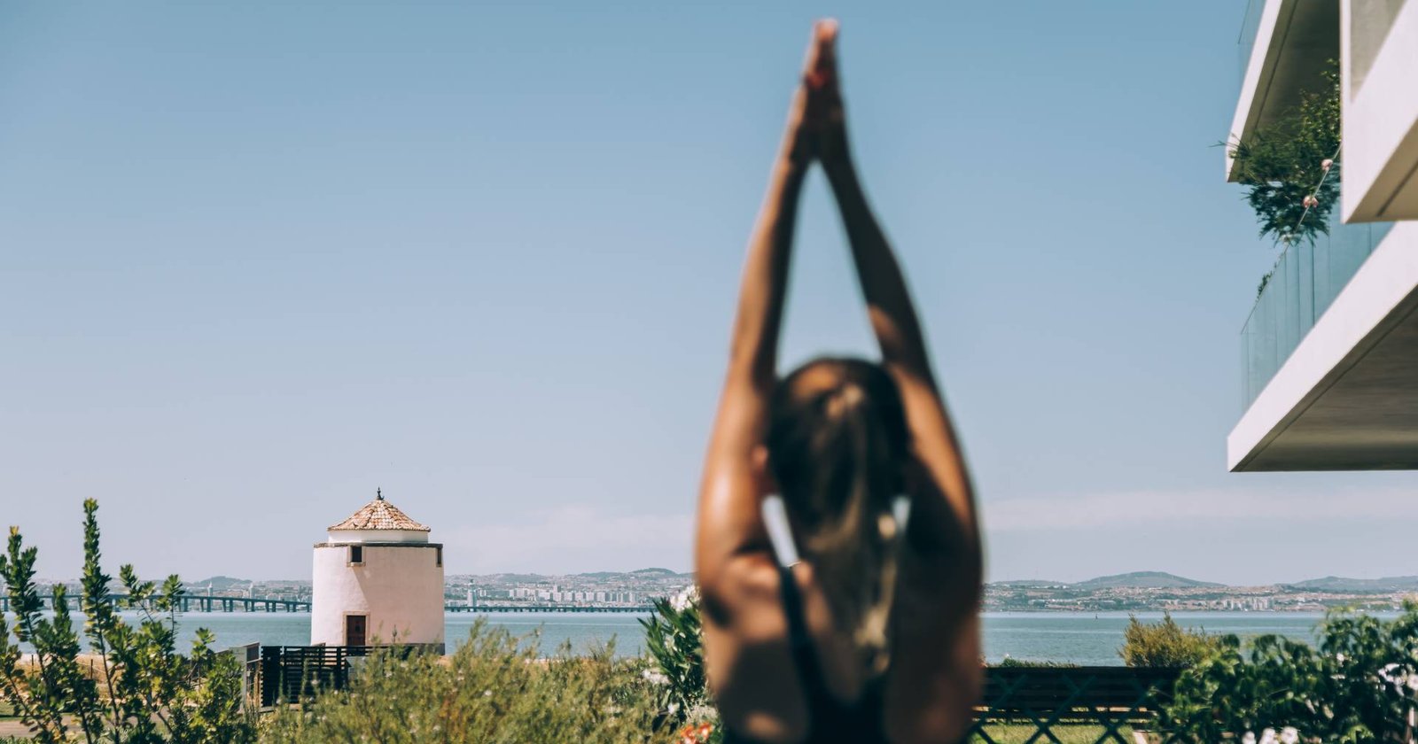 Orniterapia: observação de aves, natureza e relaxamento em Alcochete
