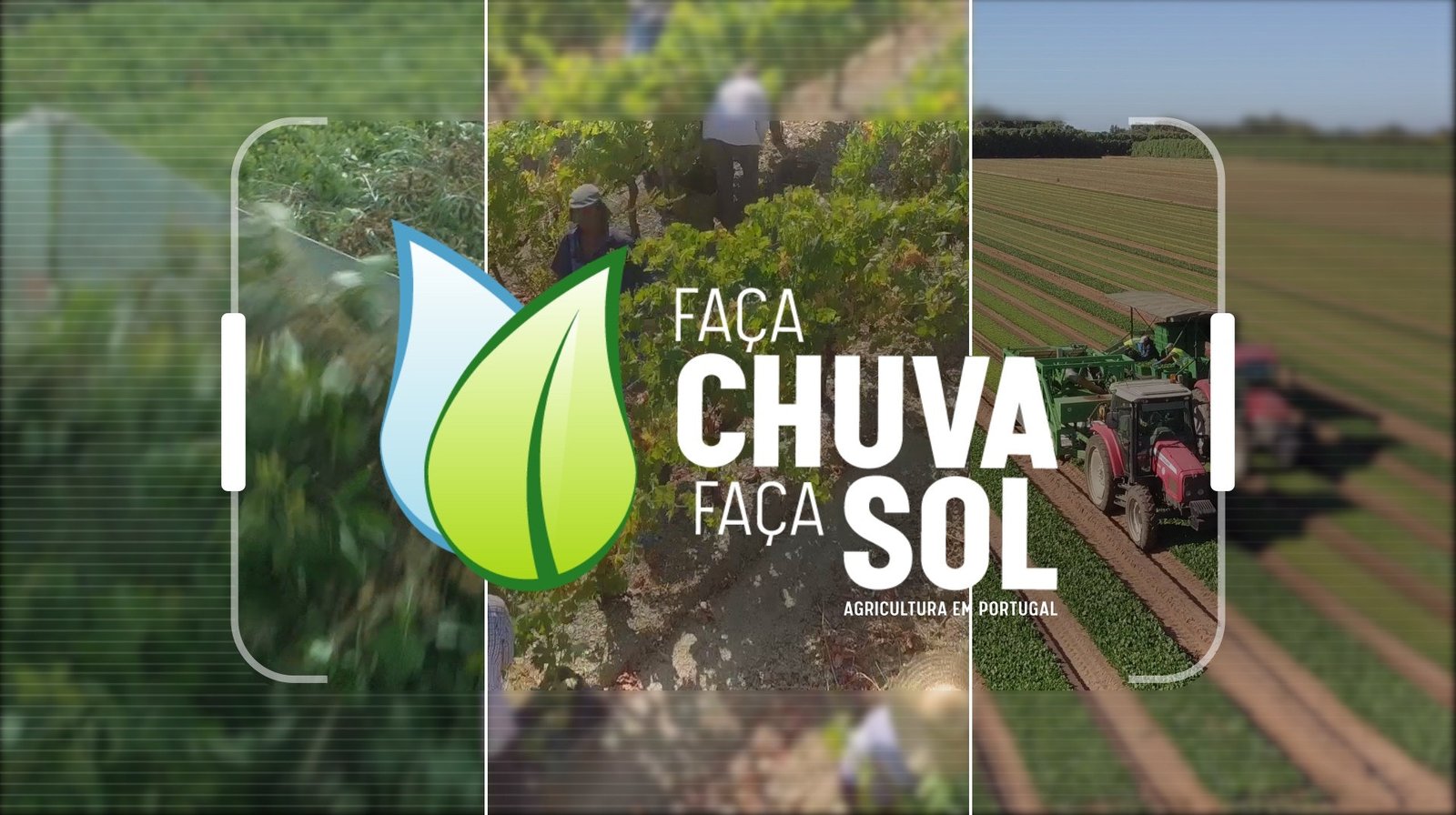 Faça Chuva Faça Sol – T10 Ep.11