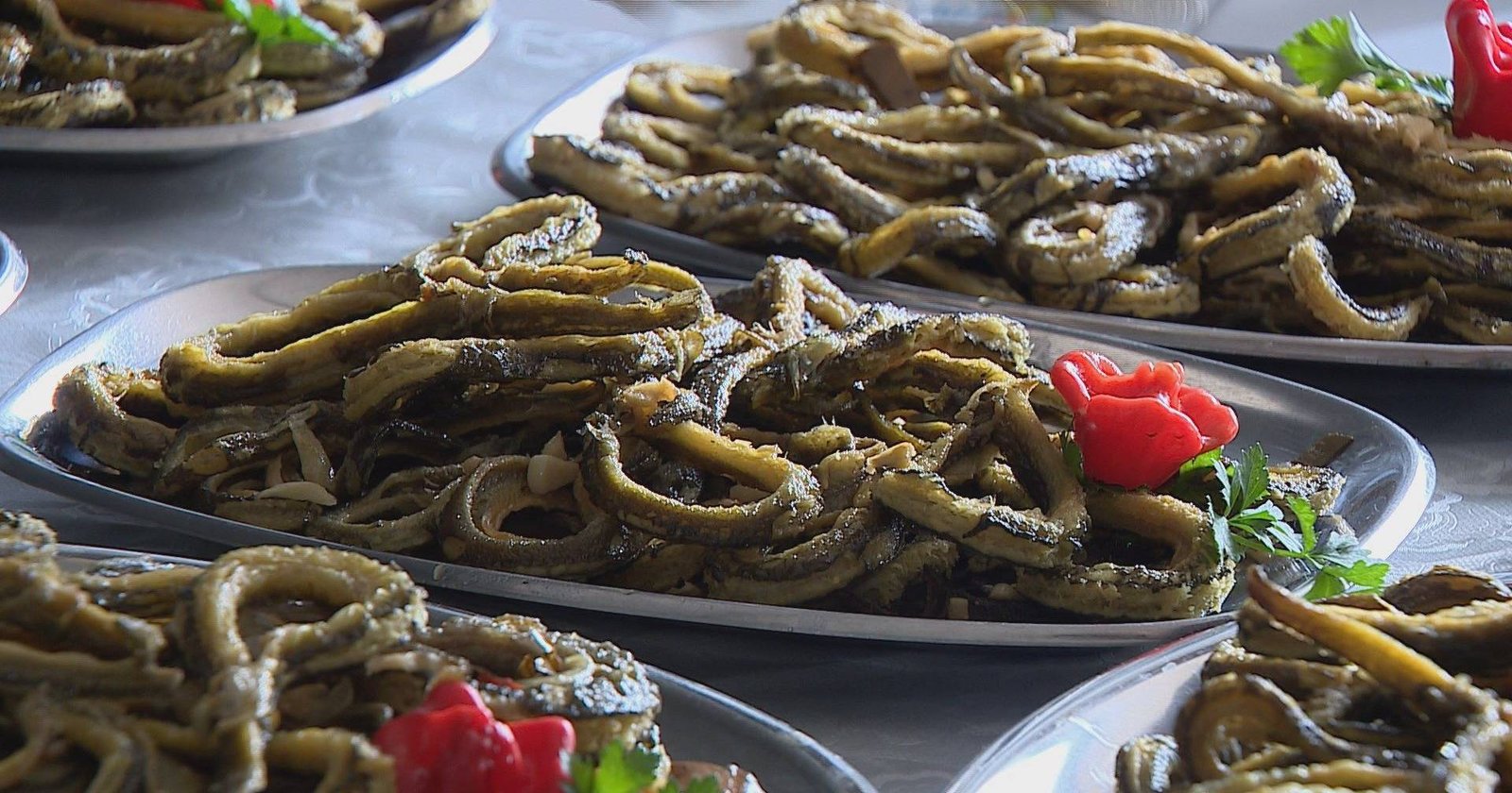 Peixe do Tejo em destaque em festival gastronómico de Vila Nova da Barquinha