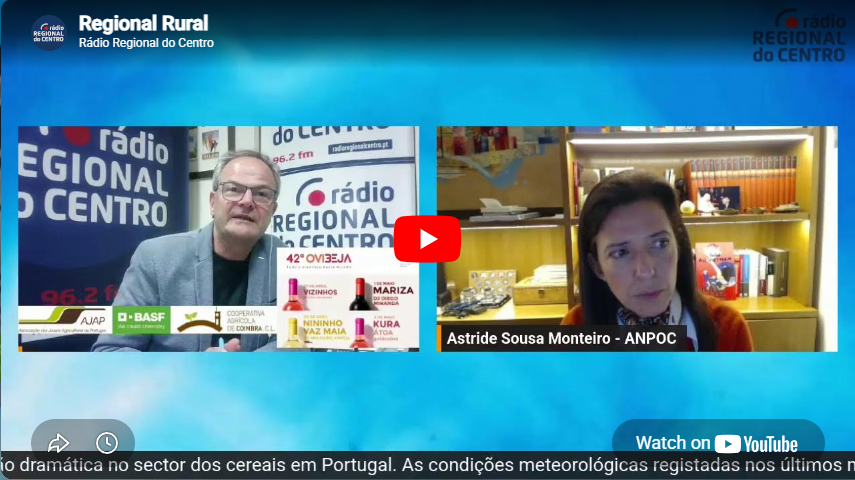 Regional Rural – Astride Sousa Monteira