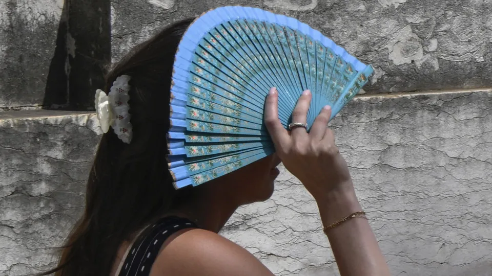 Entre chuva e temperatura, o que esperar da primavera? A previsão do IPMA